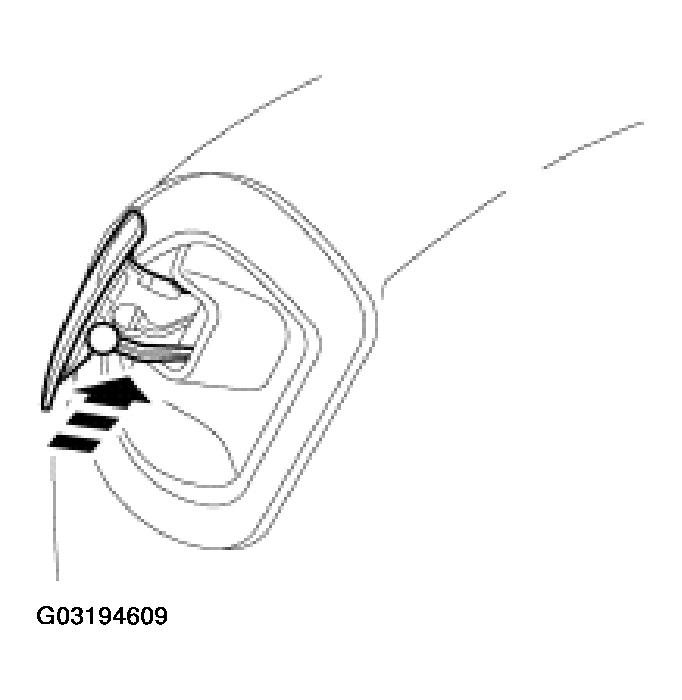 G03194609