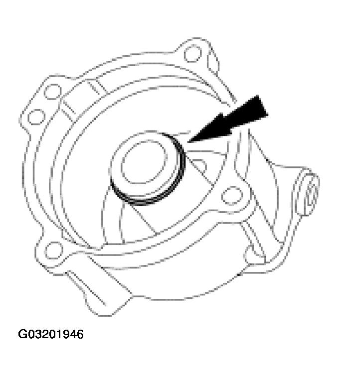 G03201946