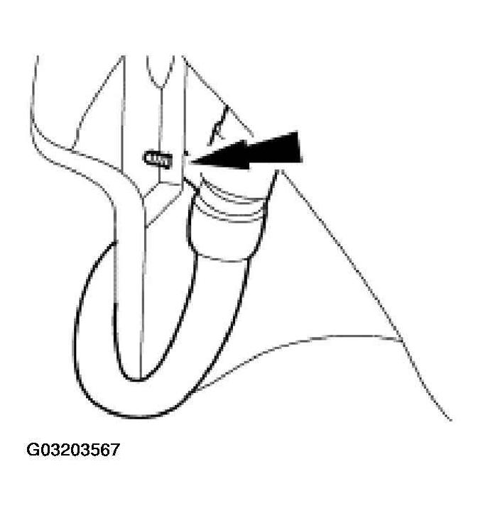 G03203567