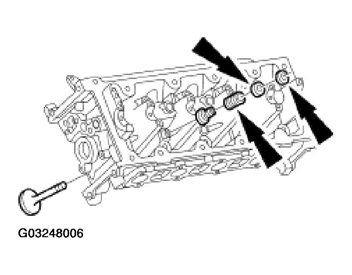 G03248006