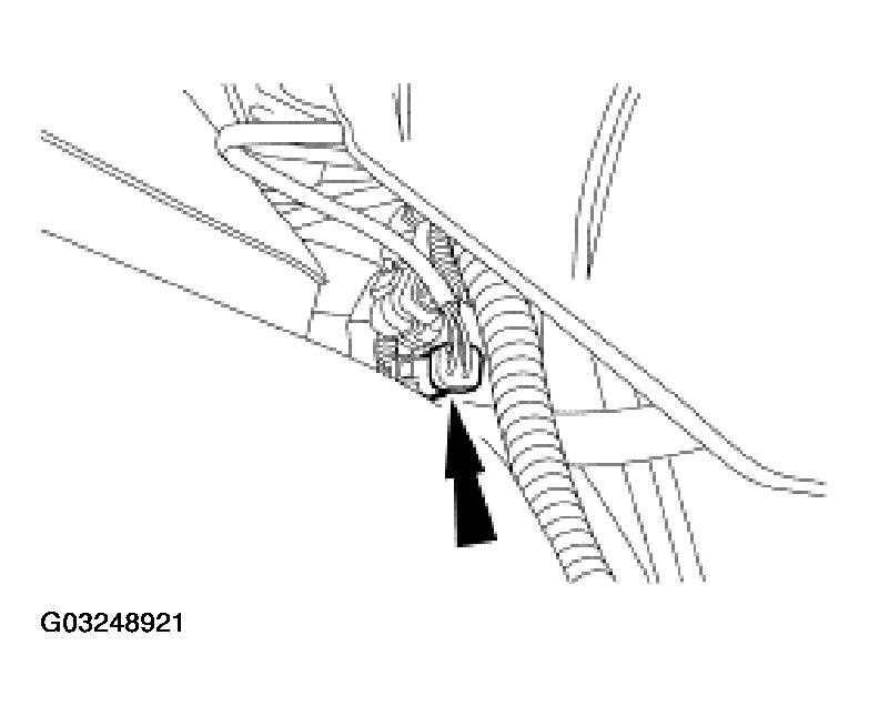 G03248921