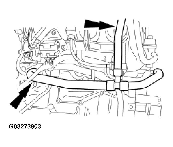 G03273903