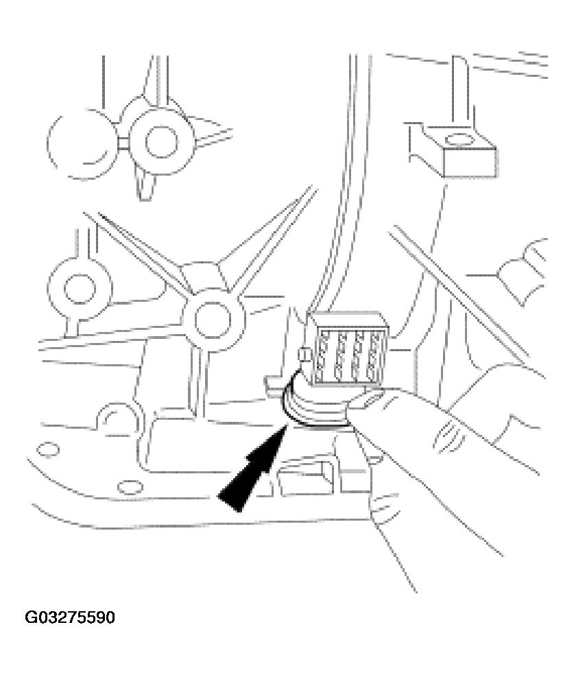 G03275590