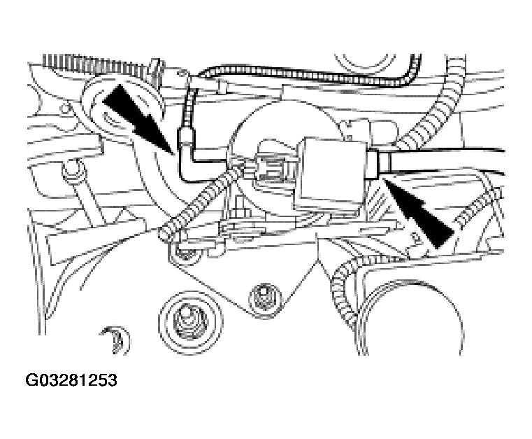 G03281253