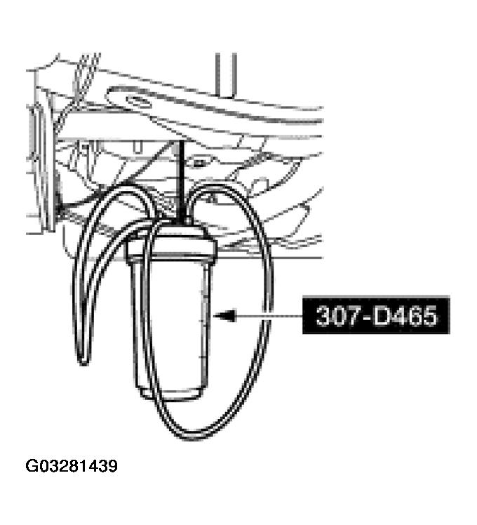 G03281439