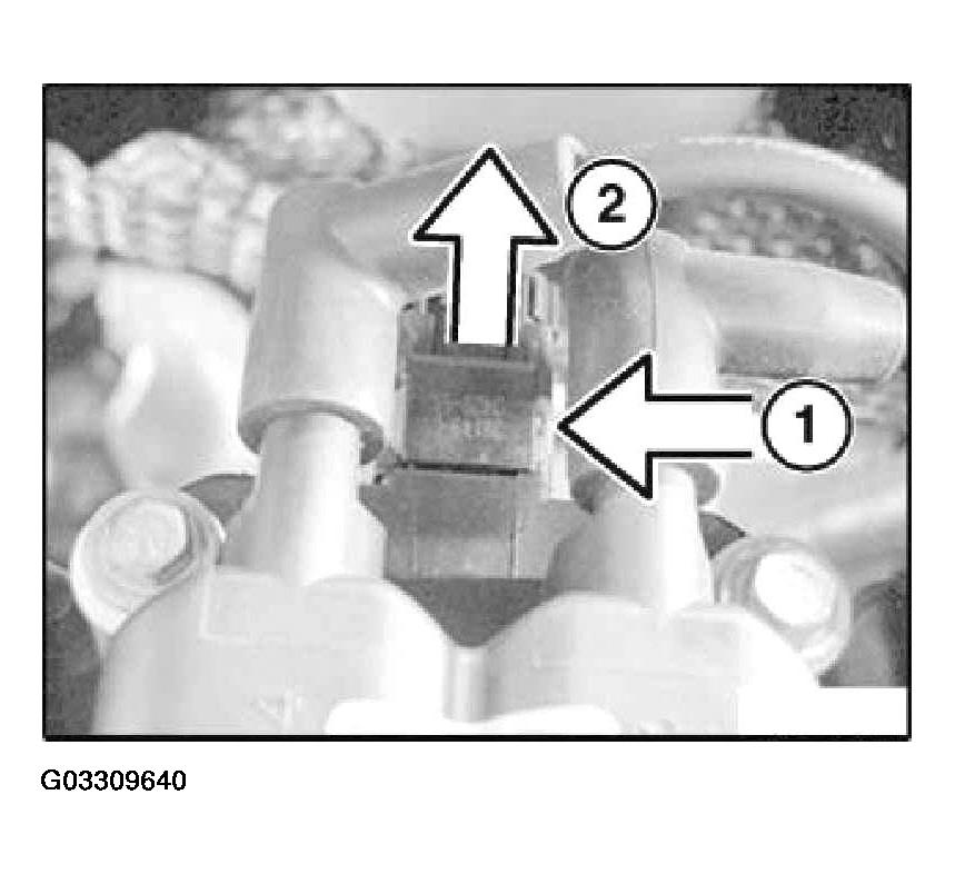 G03309640