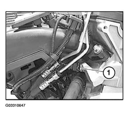 G03310647
