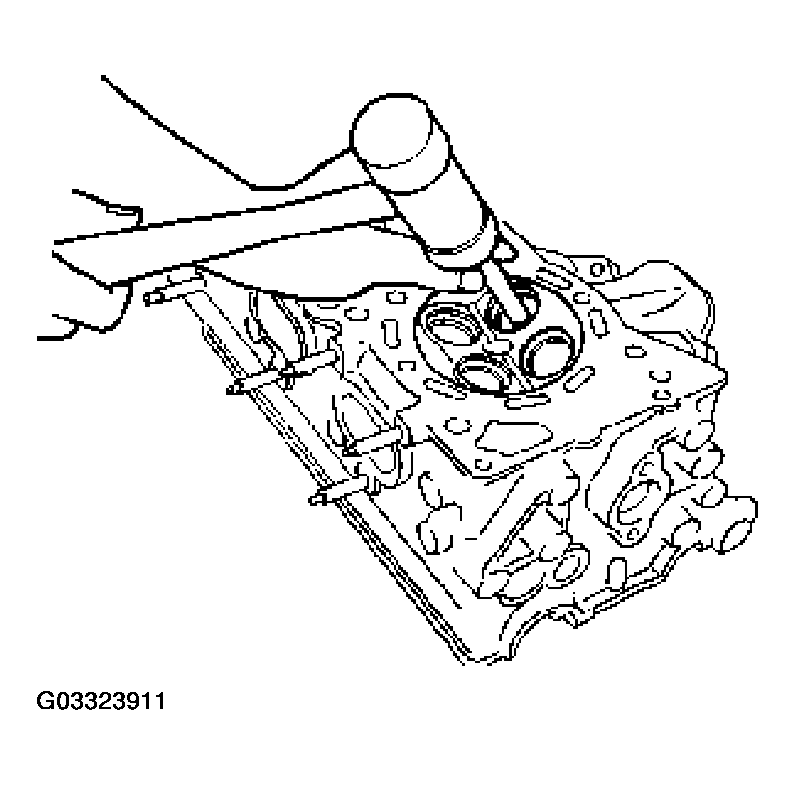 G03323911