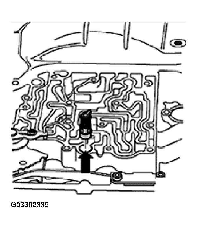 G03362339