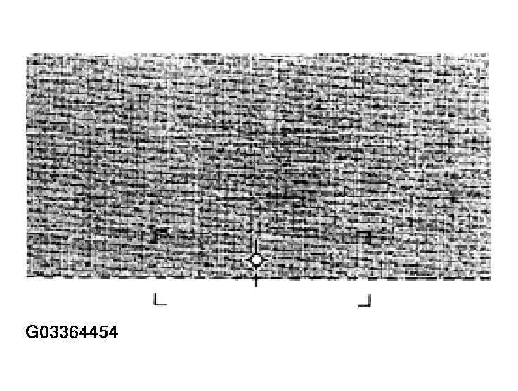 G03364454