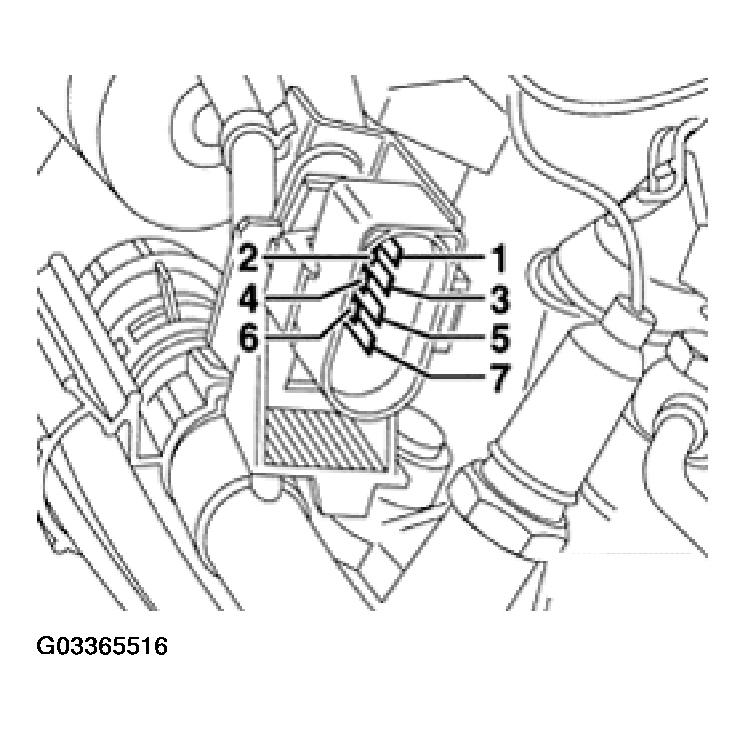 G03365516