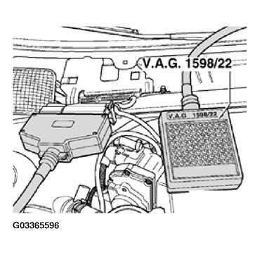 G03365596