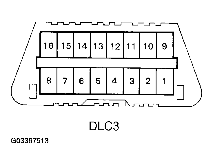 G03367513