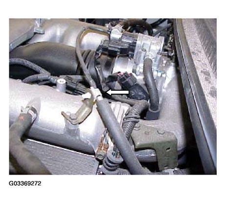 G03369272