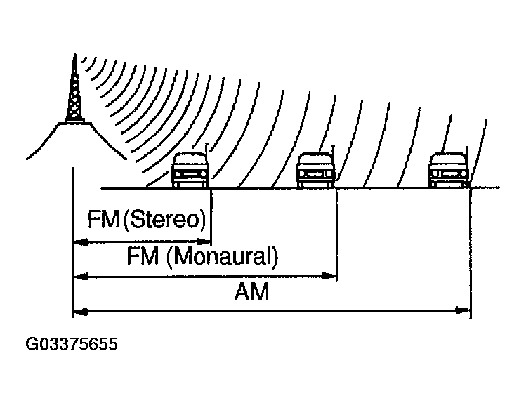G03375655