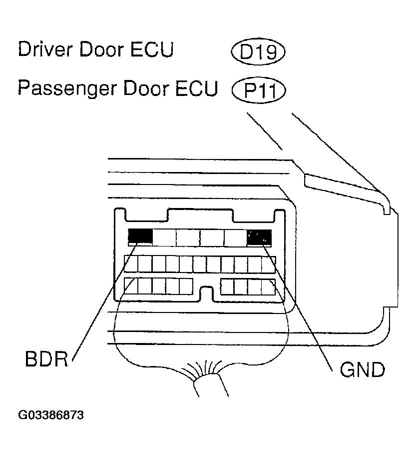 G03386873