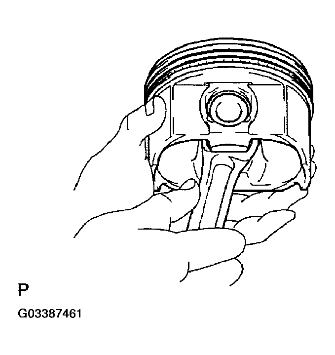 G03387461