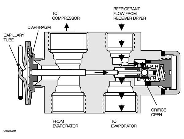 G03389394