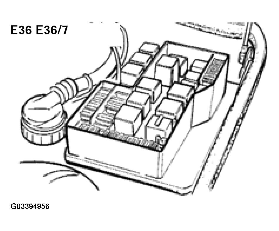 G03394956
