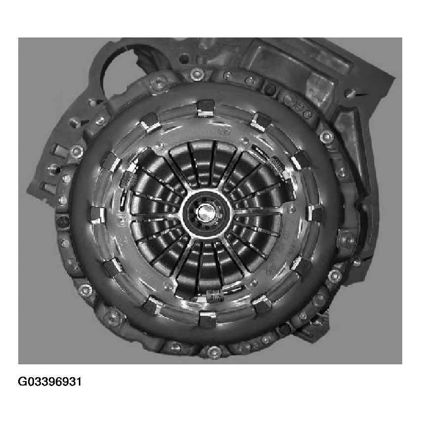 G03396931
