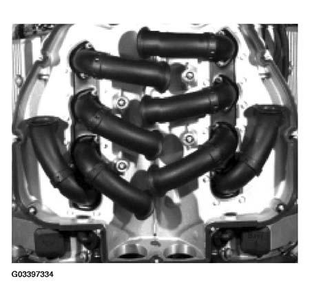 G03397334
