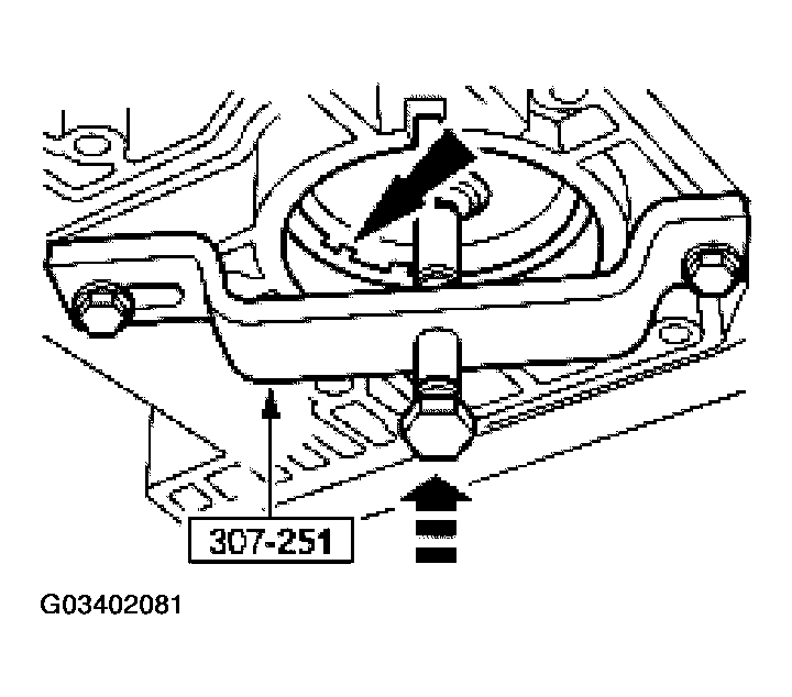 G03402081