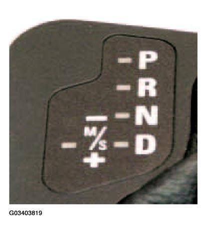 G03403819
