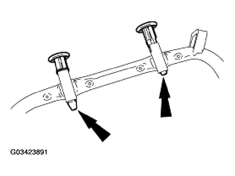 G03423891