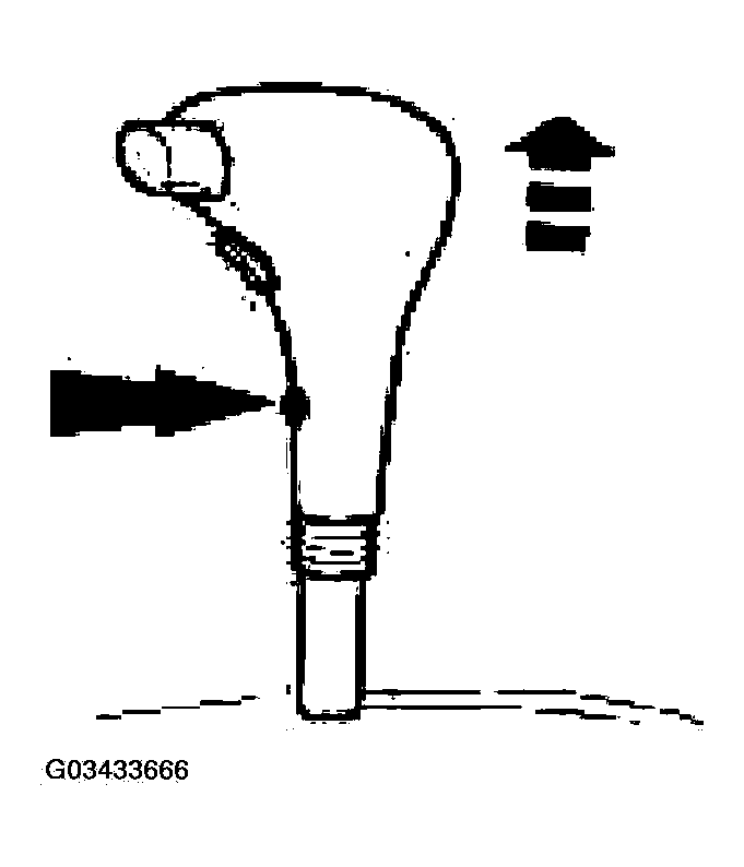 G03433666