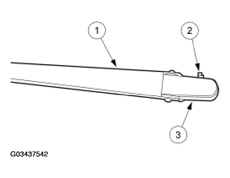 G03437542