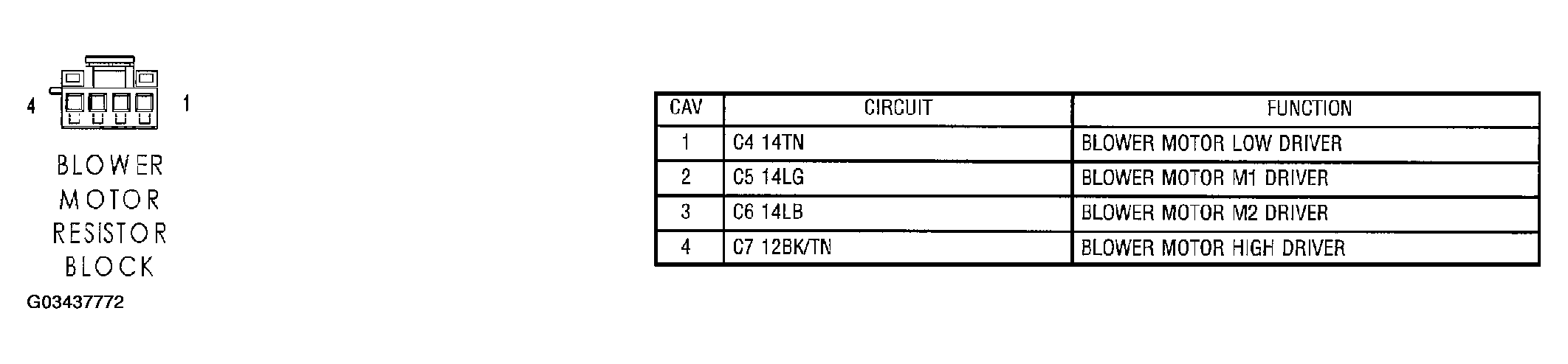 G03437772