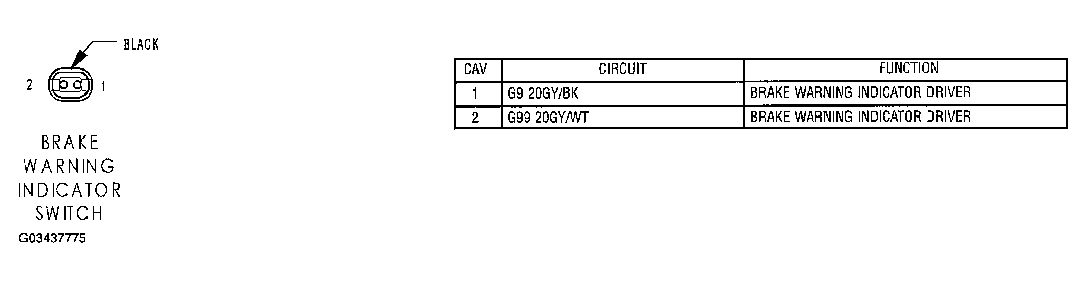 G03437775