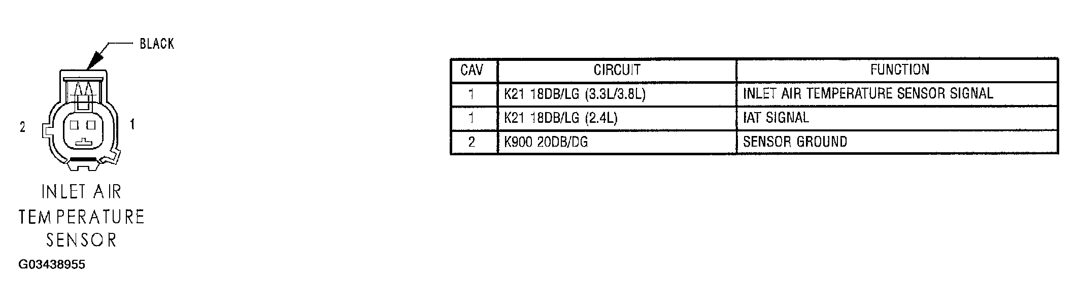 G03438955