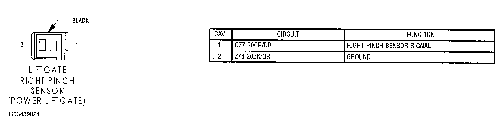 G03439024