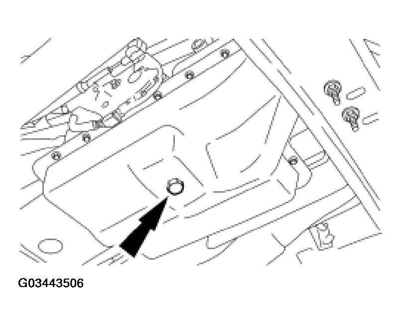 G03443506