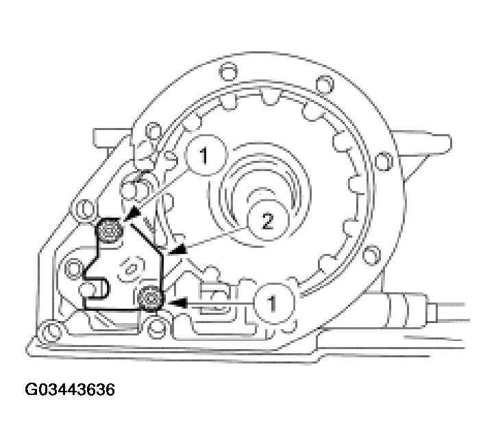 G03443636