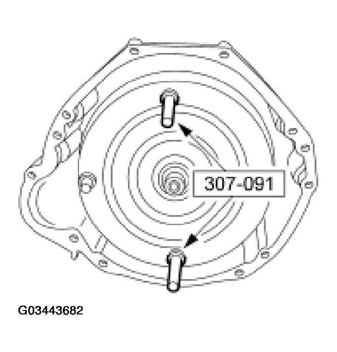 G03443682