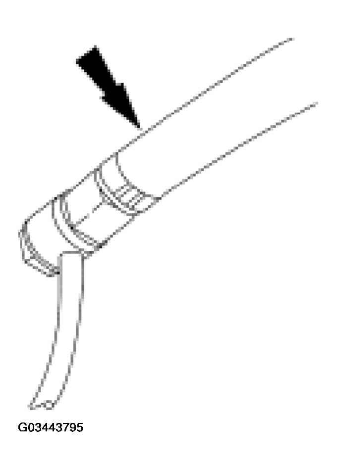 G03443795