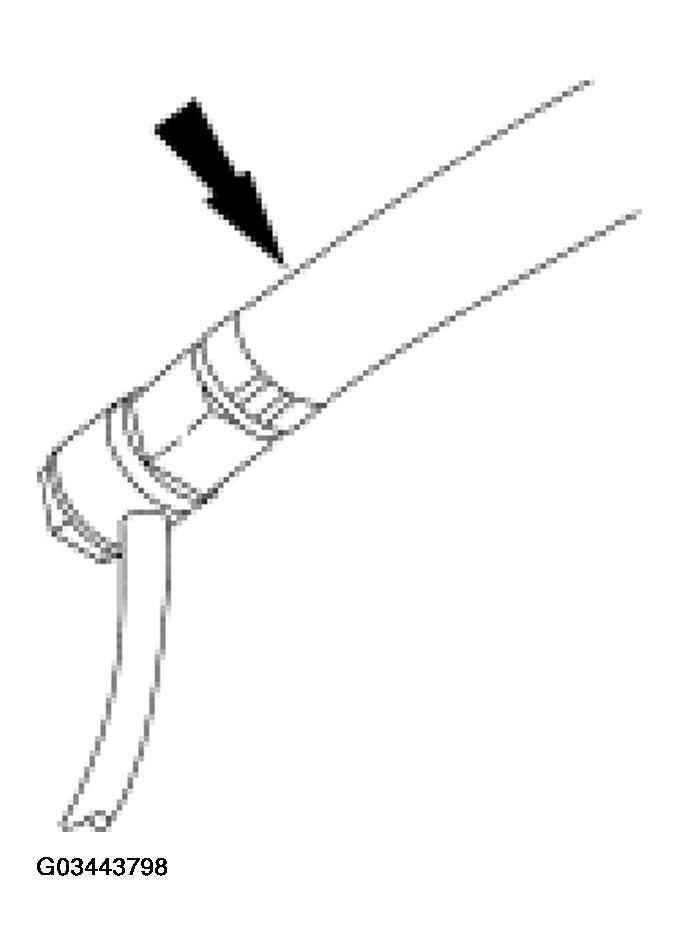 G03443798