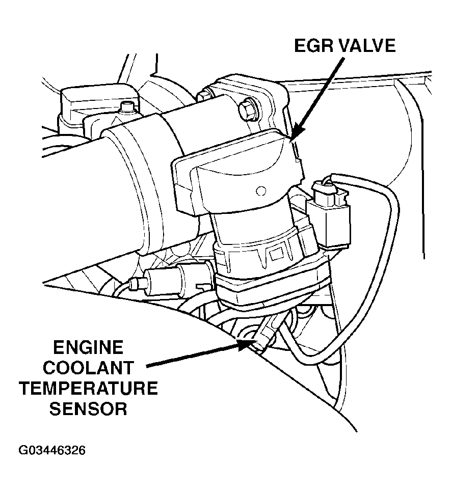 G03446326