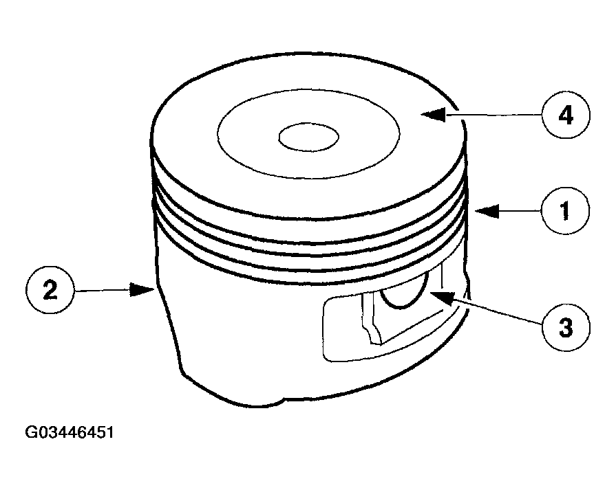G03446451