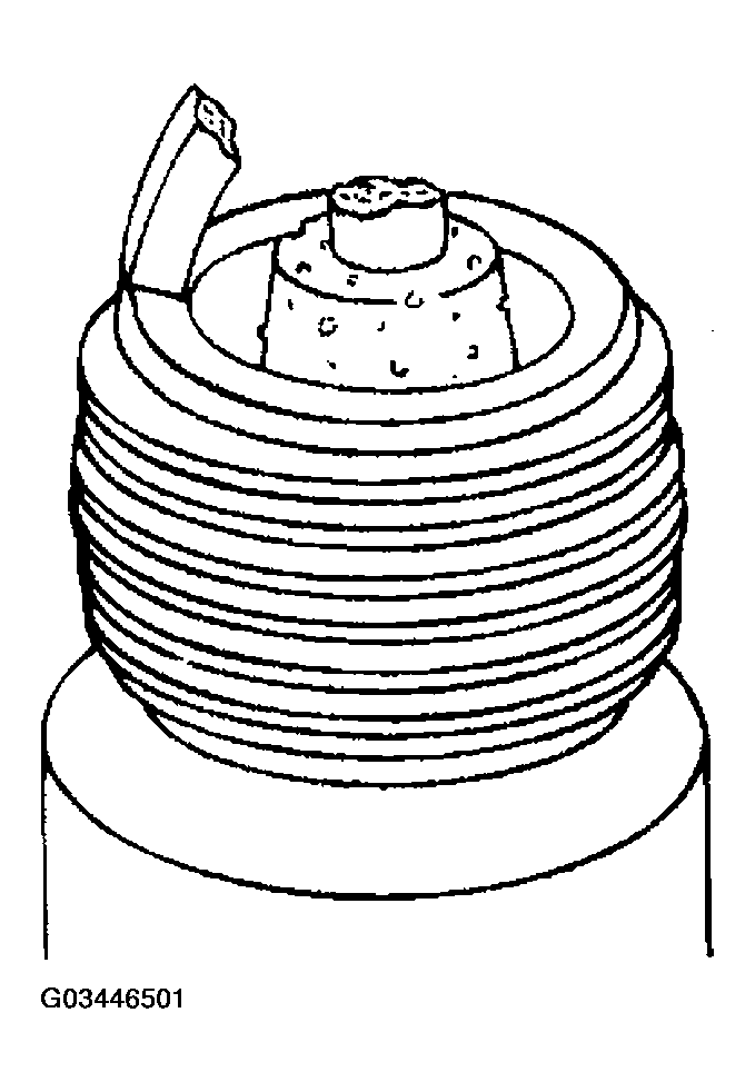 G03446501