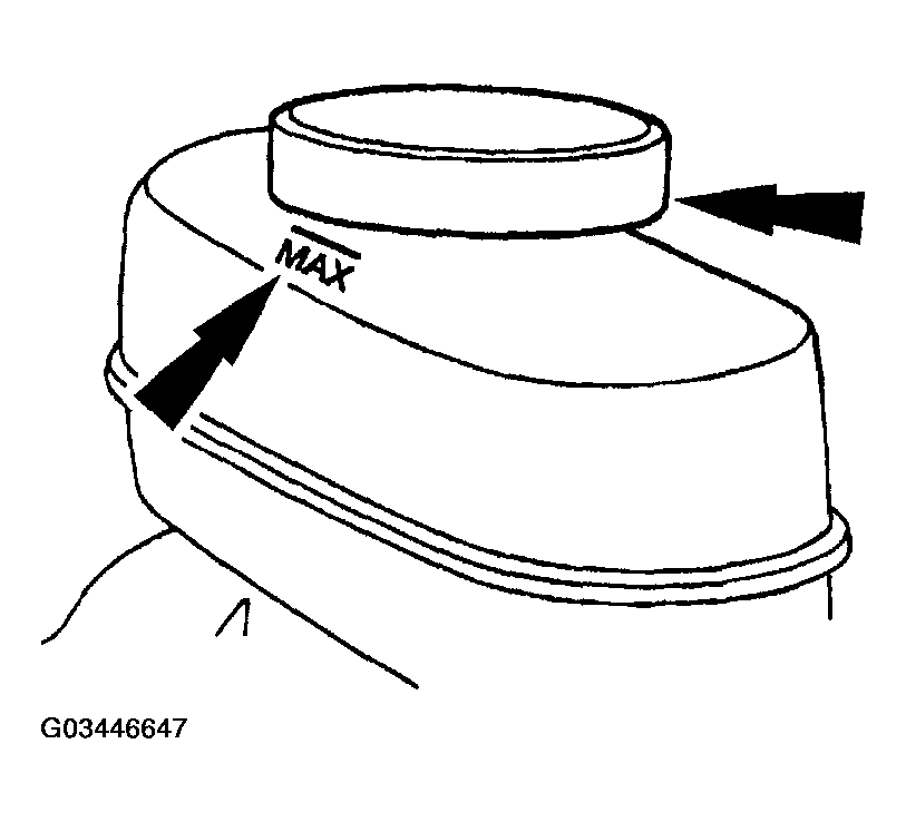 G03446647