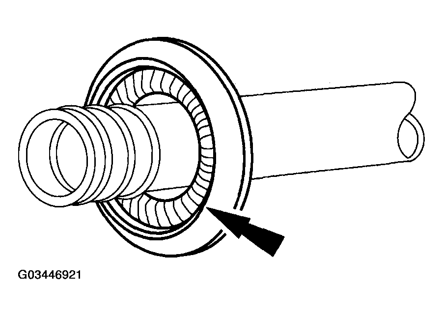 G03446921