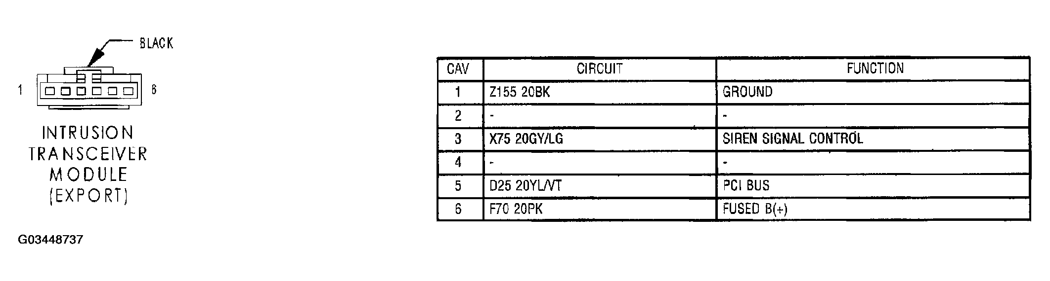 G03448737