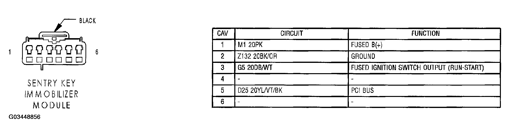 G03448856