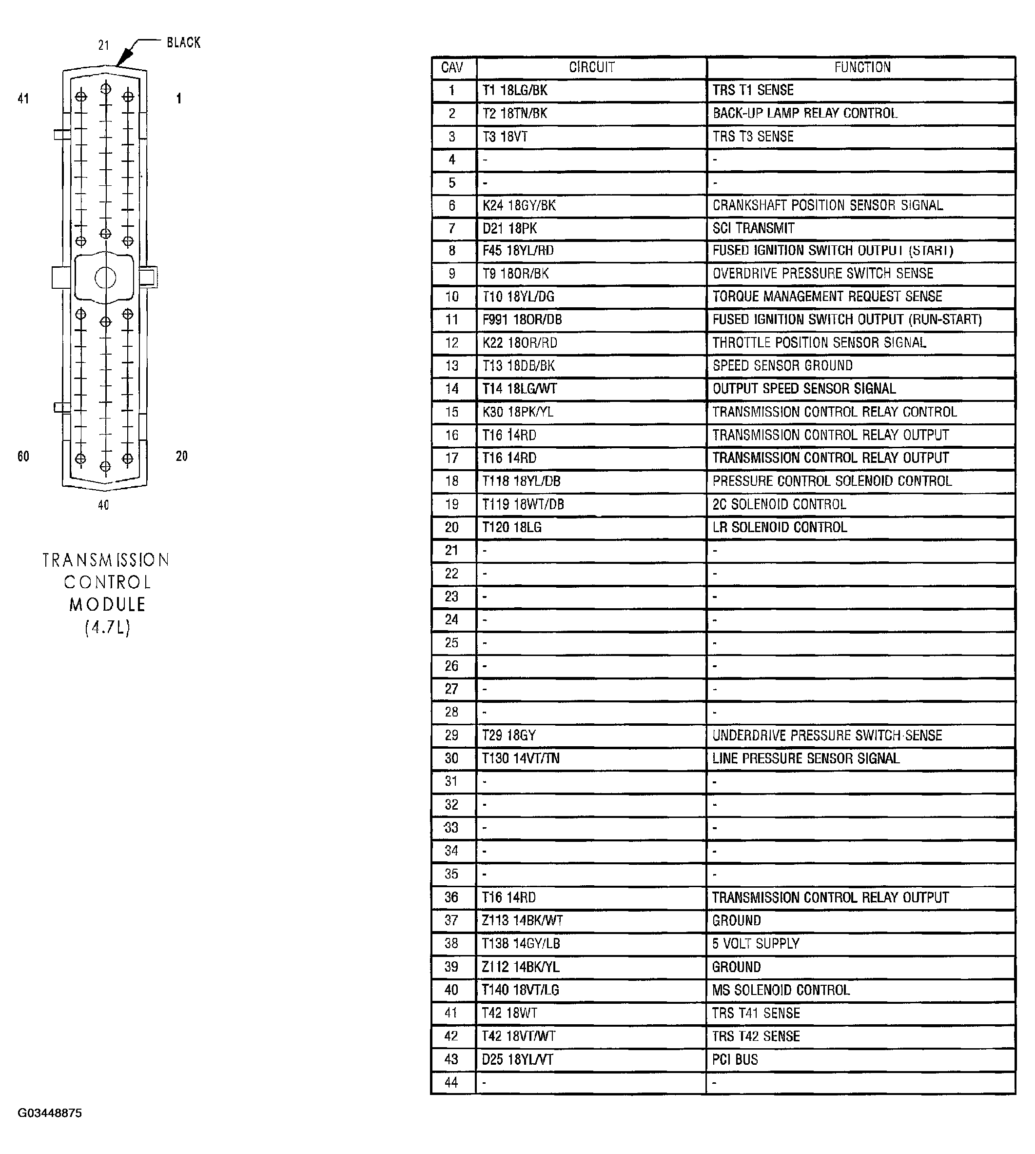 G03448875