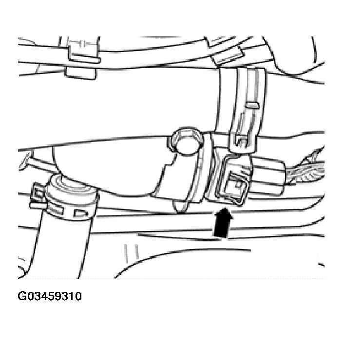 G03459310