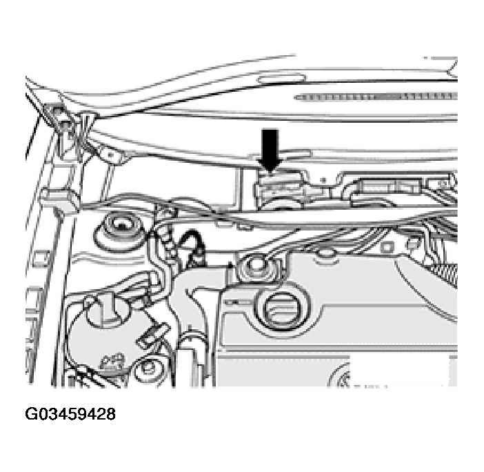 G03459428