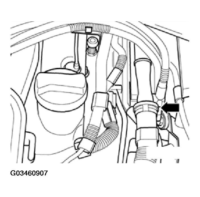 G03460907